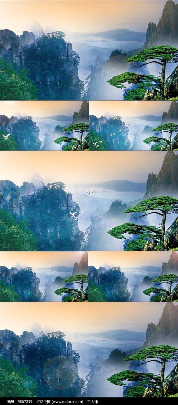 救援菠萝舞者